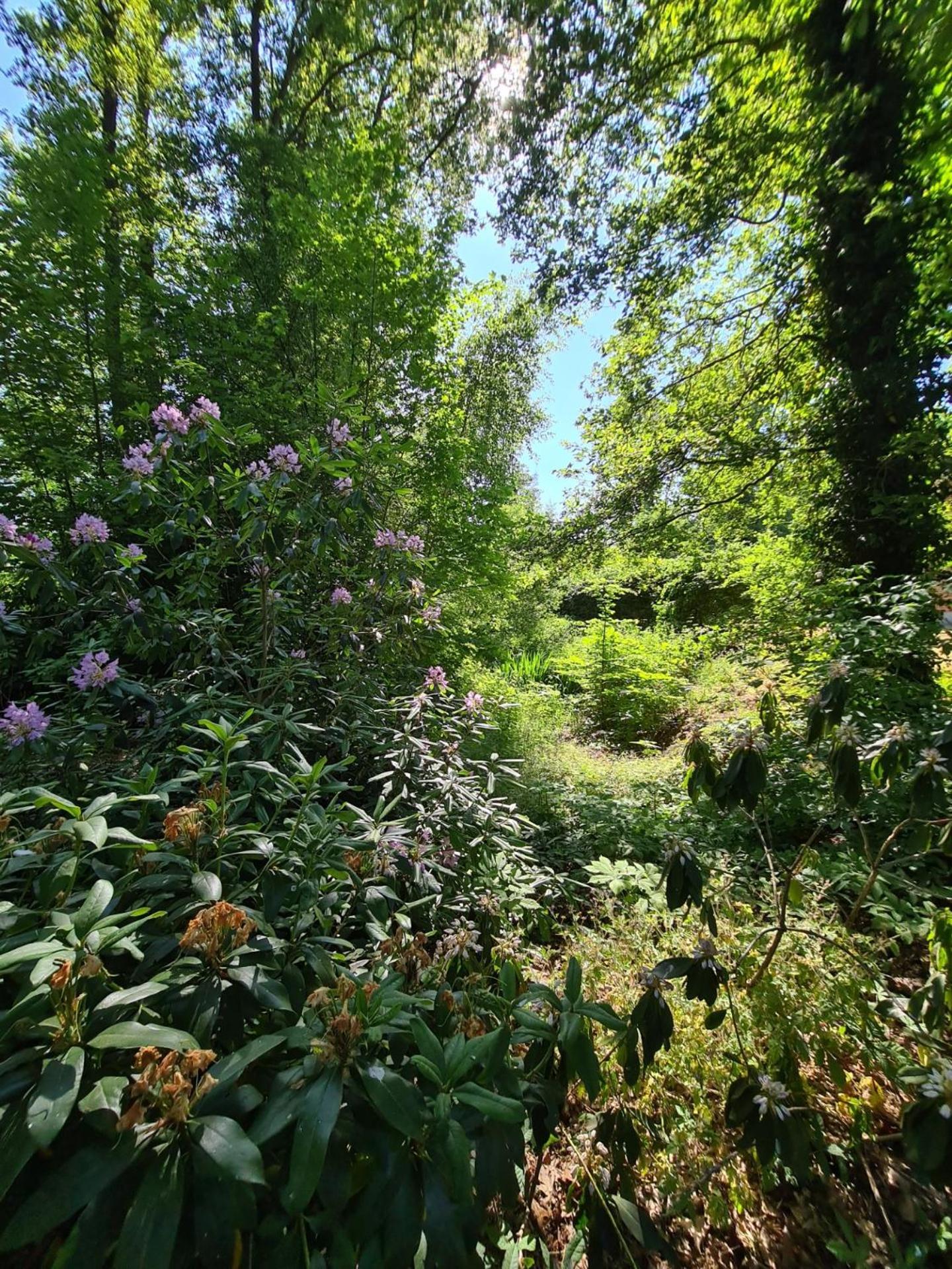 Weleveld Landgoed De Lavei B&B 외부 사진