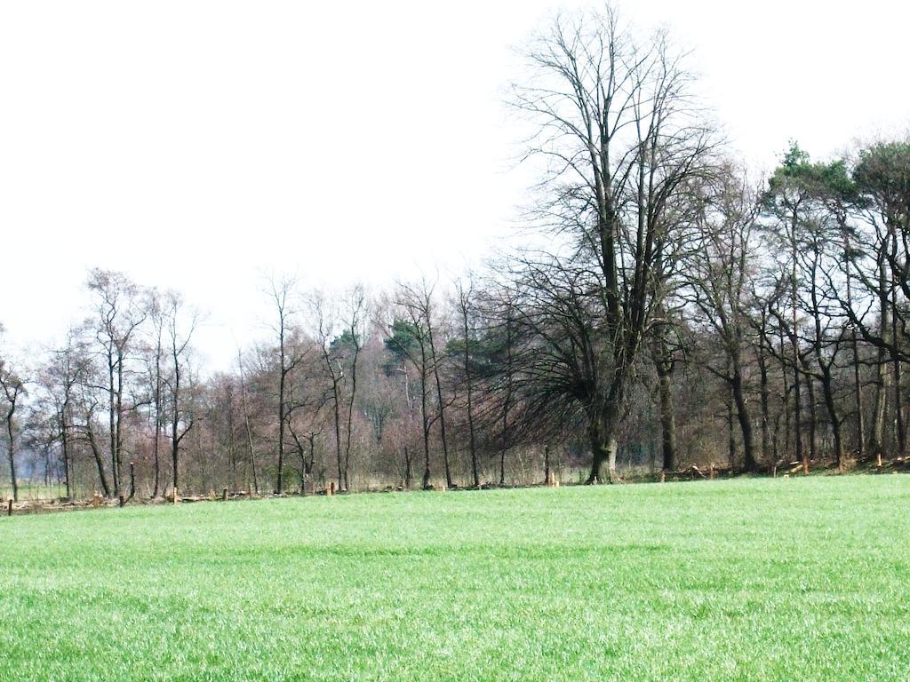 Weleveld Landgoed De Lavei B&B 외부 사진