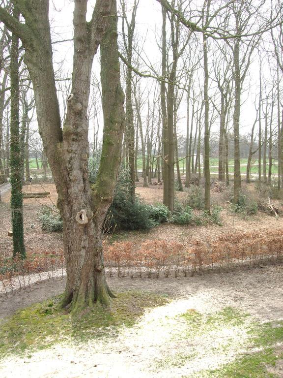 Weleveld Landgoed De Lavei B&B 외부 사진